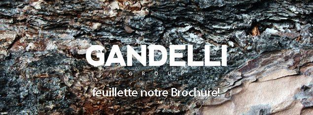 link brochure gandelli group FRA