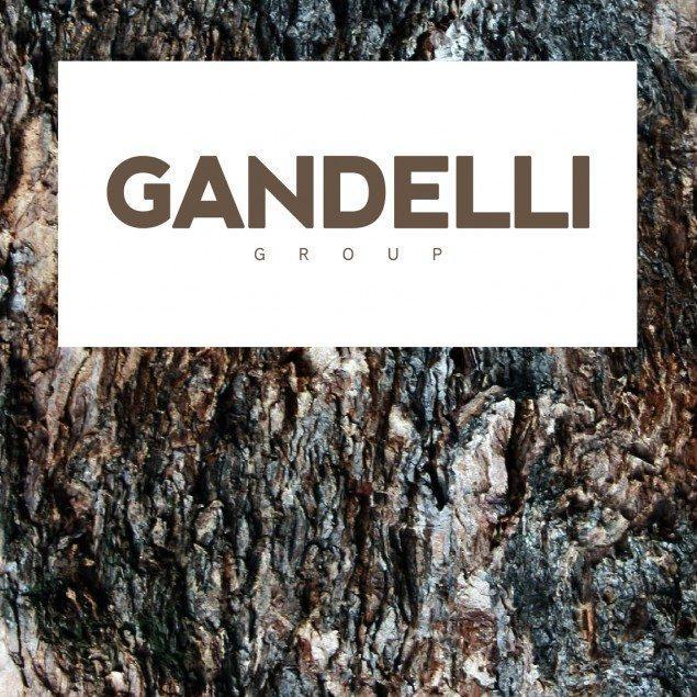 www.gandelligroup.com