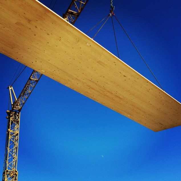 Positioning of XLam Panels for Unit C Positioning of XLam Panels for Unit C
