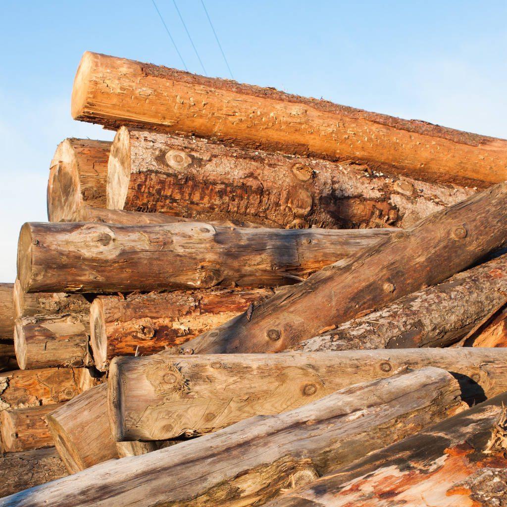 Decorazioni Con Tronchi Di Legno | Casa Loving